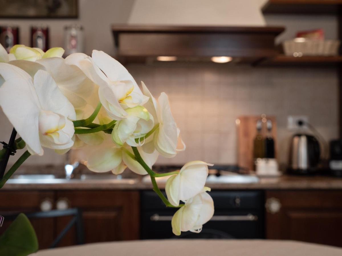 Ca' Mazzega Apartment Murano Bagian luar foto